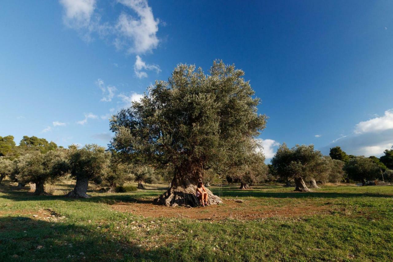 Kouvelia Country Home Luxury Villa Rental Nerotriviá Dış mekan fotoğraf