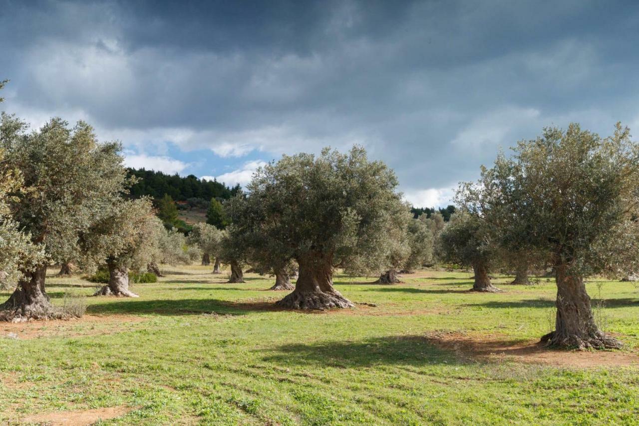 Kouvelia Country Home Luxury Villa Rental Nerotriviá Dış mekan fotoğraf